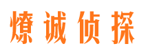 大柴旦侦探